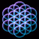 pSynod