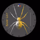 Serial_Sonpoa