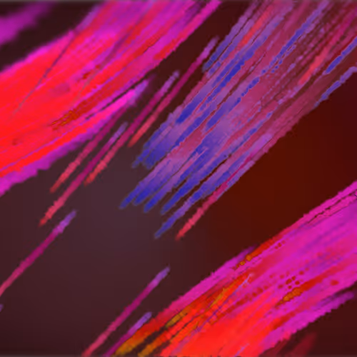 OpenSea profile picture for @CotE