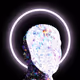 Human0idia