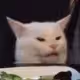 shadyoak