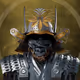 DeFi-Samurai
