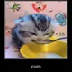 0x65b20c60725765c0b87f1a7b04752e991b0385df