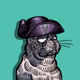 iammonny_hotwallet