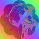 Frontid