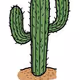 Cactusxse