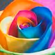 crypto_1234loveethbtclove