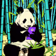 Baixiongmao