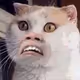 dakenesenok