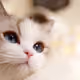 0x664006120d284bea969dfaa507420c67ef7372db