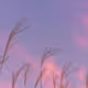 gcuy673jded