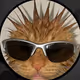 tungtungtungcejay