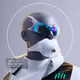 0x66666694ff556b311111ce95830d3a363ad52c63