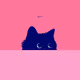 Felinecateth1