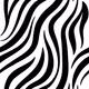 LouisZebra