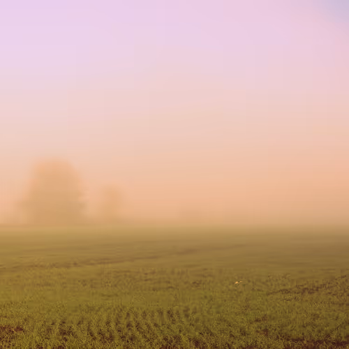 OpenSea banner for @Oder