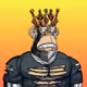HypeKnight