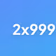2X999