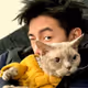 llcat