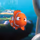 findnemo