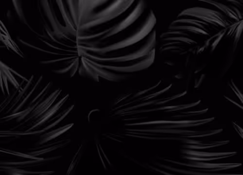OpenSea banner for @haithem