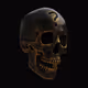antiviolet15