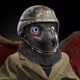 OrangeMark4747