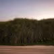 Boris_Marinin