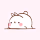 chubbybunny