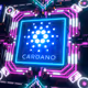 Crypto_Marcel82