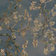 0x680e3c540c5b97181b452fe05655bde61d5047cd