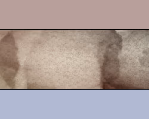 OpenSea banner for @Sibe