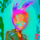 bungeegum.eth