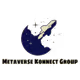 metaverseplug