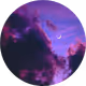 Lilac_Juniper