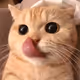 0x685974f3f0e12dd361159a5a8a4d238dd6d1820c