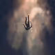 0x685eaf4633124a92592fe33f885667ce3b5f5037