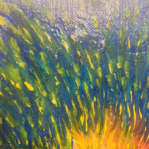 OpenSea banner for @MONET