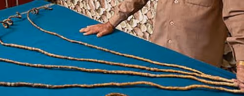 OpenSea banner for @Fingernails