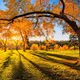 AUTUMN_MOOD_WITH_LOVE