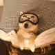 luckwhale