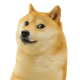 0x68e33a587f1d697c5e0f8b8794cfa304b41a61e2