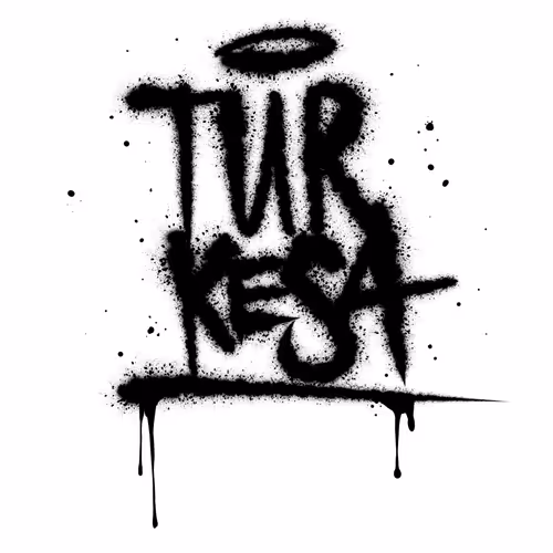 OpenSea profile picture for @TURKESA