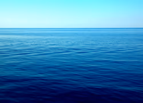 OpenSea banner for @Numeric