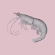 GrayShrimpLord