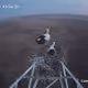 slowrunr