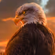 EAGLERA7
