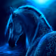 TopHorse