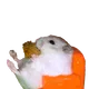 0x69fd3f7080c061aa9904515ff6deae2a45dec045