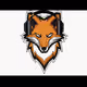 Swiper_TheFox